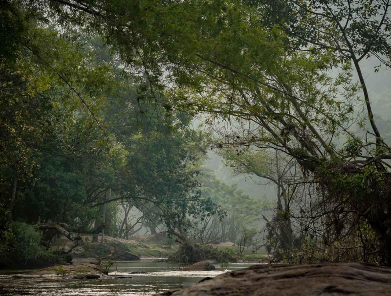 Quiet By The River- Cgh Earth Thodakayam Eksteriør bilde
