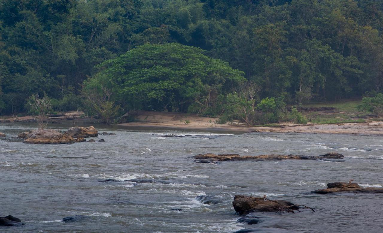 Quiet By The River- Cgh Earth Thodakayam Eksteriør bilde